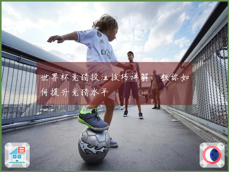 世界杯竞猜投注技巧详解，教你如何提升竞猜水平