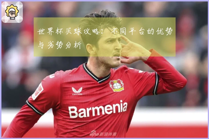 世界杯买球攻略：不同平台的优势与劣势分析