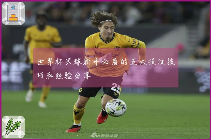 世界杯买球新手必看的五大投注技巧和经验分享