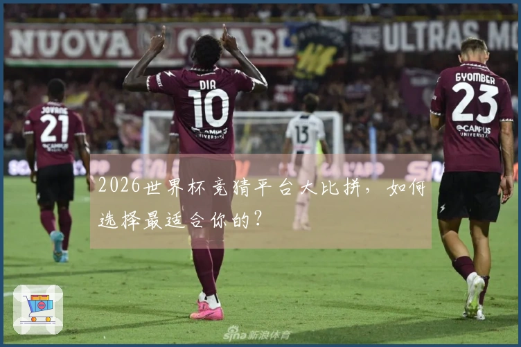 2026世界杯竞猜平台大比拼，如何选择最适合你的？
