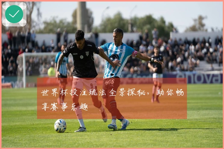 世界杯投注玩法全景探秘，助你畅享赛事乐趣