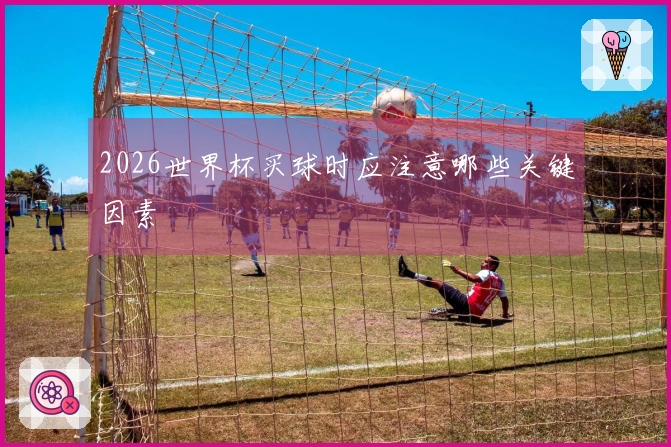 2026世界杯买球时应注意哪些关键因素