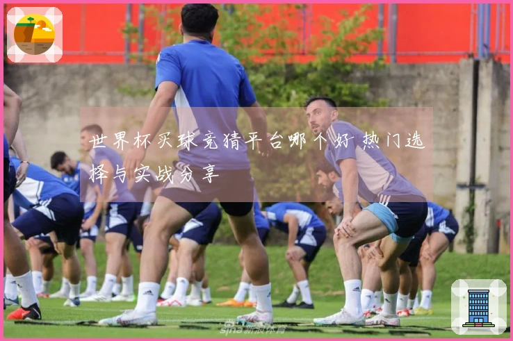 世界杯买球竞猜平台哪个好 热门选择与实战分享