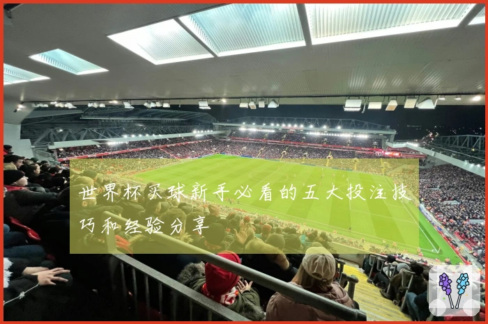 世界杯买球新手必看的五大投注技巧和经验分享