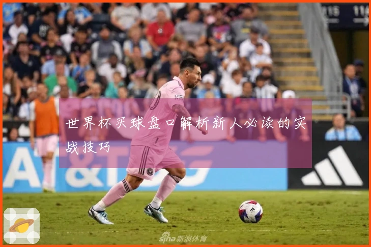 世界杯买球盘口解析新人必读的实战技巧