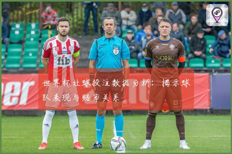 世界杯让球投注数据分析：揭示球队表现与赔率关系