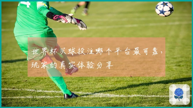 世界杯买球投注哪个平台最可靠，玩家的真实体验分享