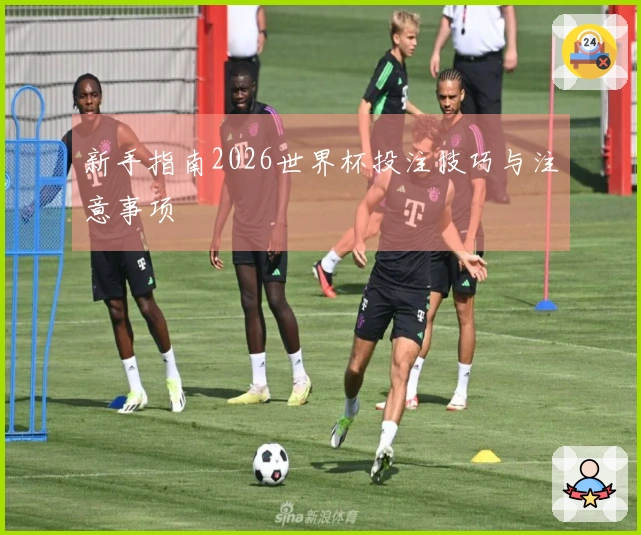 新手指南2026世界杯投注技巧与注意事项