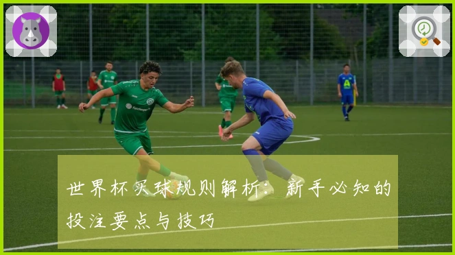 世界杯买球规则解析：新手必知的投注要点与技巧